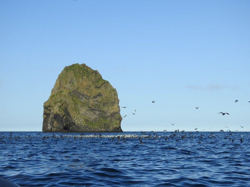 Westman Islands on the way to Surtsey