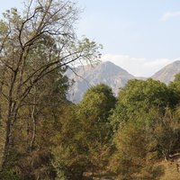 Sary Chelek, Western Tien-Shan