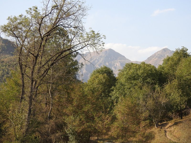 Sary Chelek, Western Tien-Shan