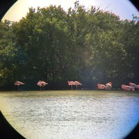 Cienaga de Zapata National Park