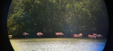 Cienaga de Zapata National Park