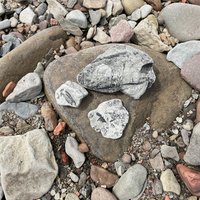 Joggins Fossil Cliffs