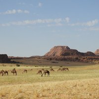 Ennedi