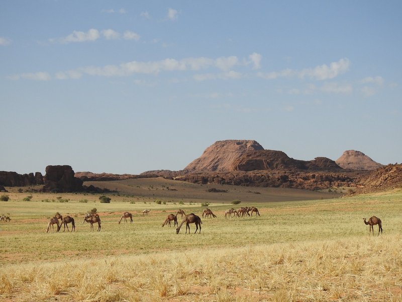 Ennedi