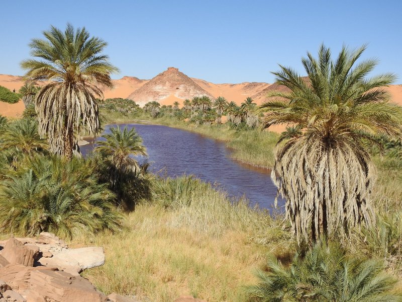 Ounianga Lake Molotrow