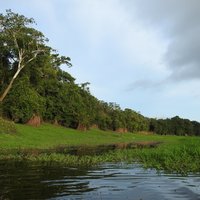 Central Amazon Mamiraua