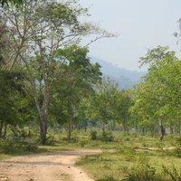 Road into Kui Buri (Kaeng Krachan)