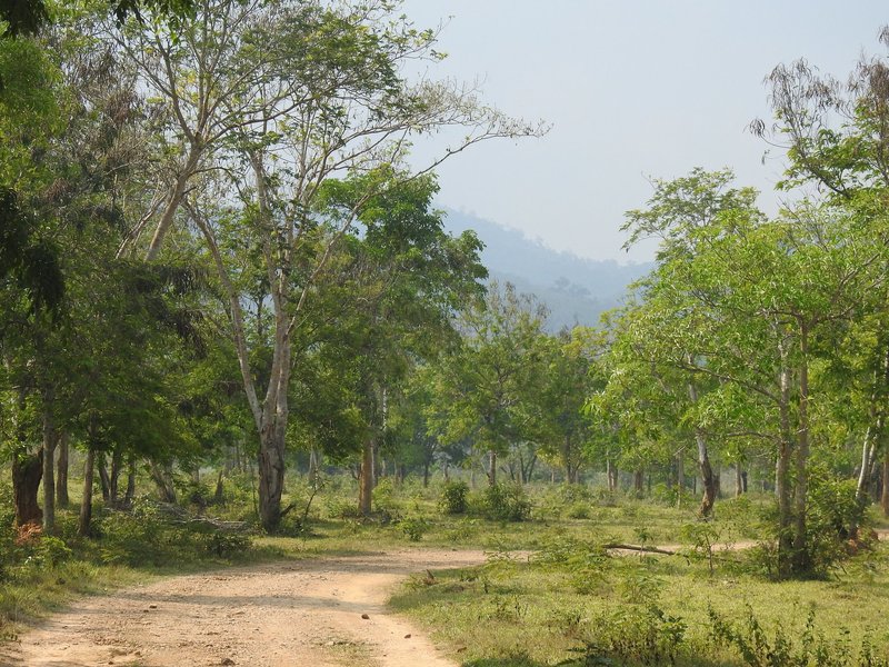 Road into Kui Buri (Kaeng Krachan)