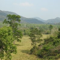 Kui Buri NP (Kaeng Krachan)