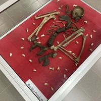 Replica of Perak man