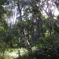 Royal Hill of Ambohimanga