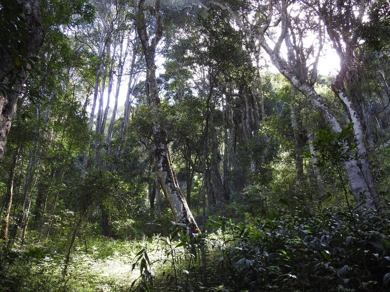 Royal Hill of Ambohimanga