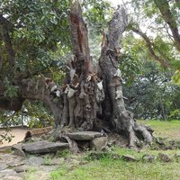 Royal Hill of Ambohimanga