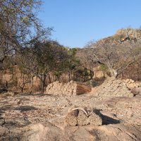Bundles of hay at Matobo Hills