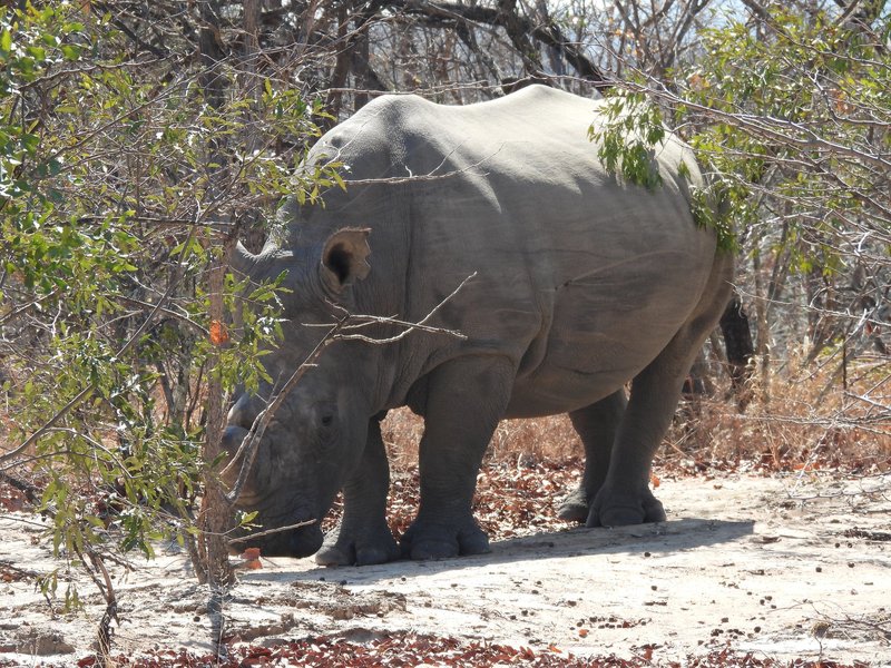 Matobo Hills