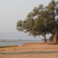 Mana Pools Riverside