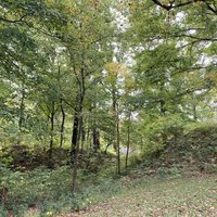 Hopewell Fort Ancient