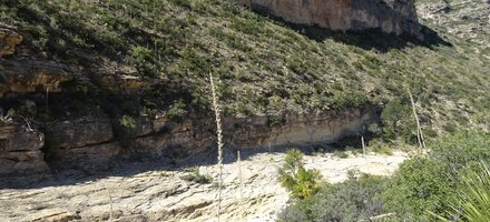 Guadalupe Mountains National Park