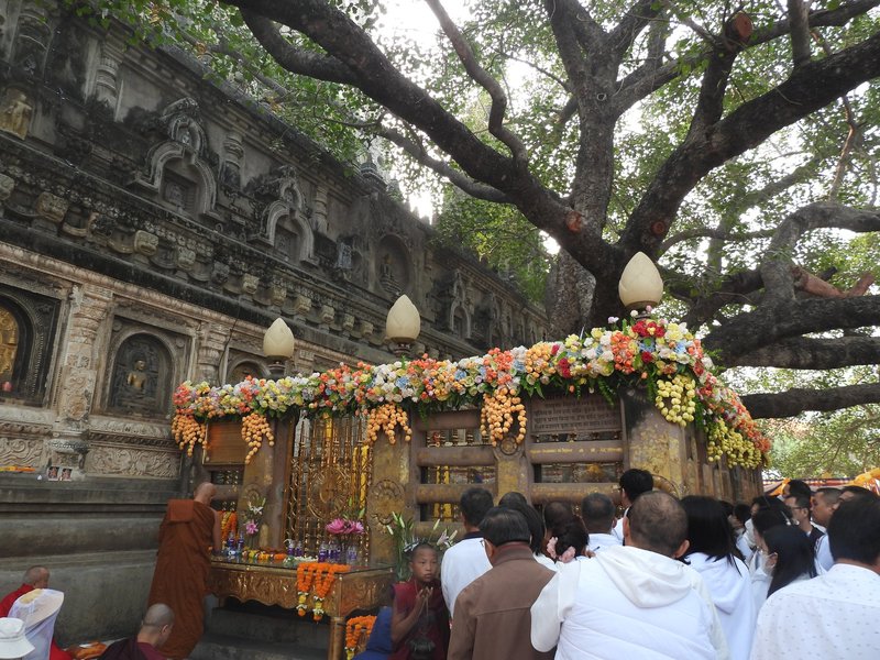 Mahabodhi Temple