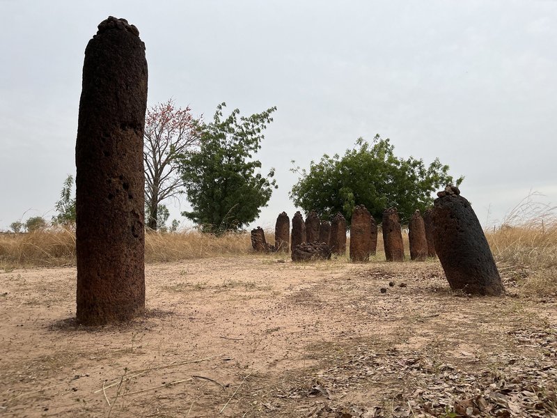 Stone Circles of Senegambia, Wassu