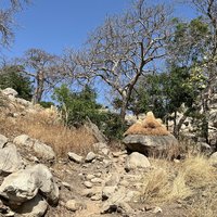 Bassari Andiel climb to the entrance