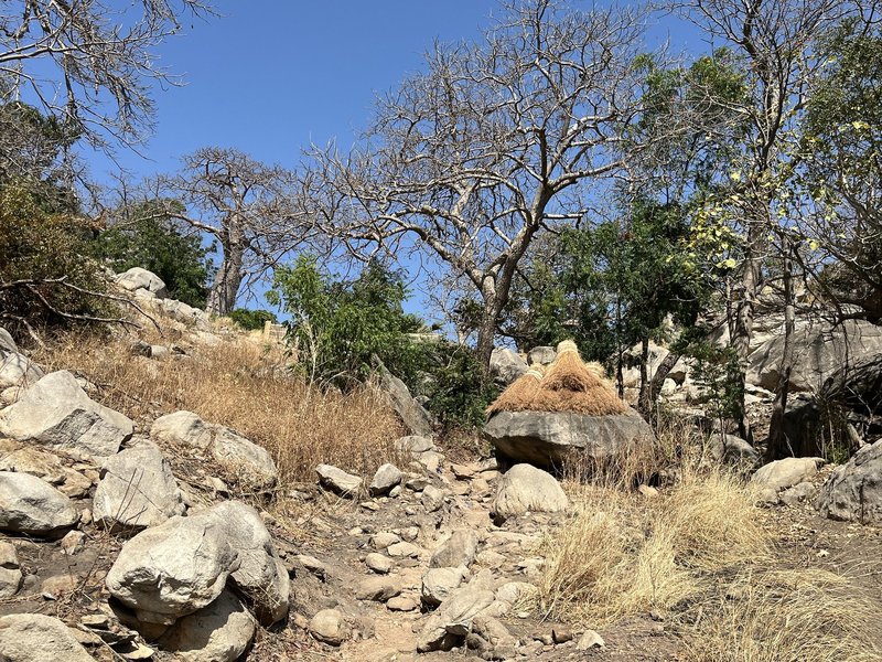 Bassari Andiel climb to the entrance
