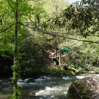 Mtirala Ropeway (Colchic Forests)