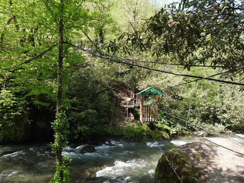 Mtirala Ropeway (Colchic Forests)