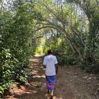 Kaya Kauma forest guide