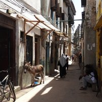 Streets of Lamu