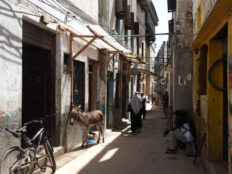 Streets of Lamu