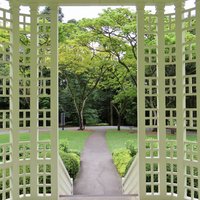 Singapore Botanic Gardens
