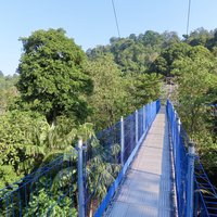 Kepong Botanic Gardens (FRIM)