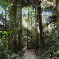 Kepong Botanic Gardens (FRIM)