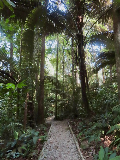 Kepong Botanic Gardens (FRIM)