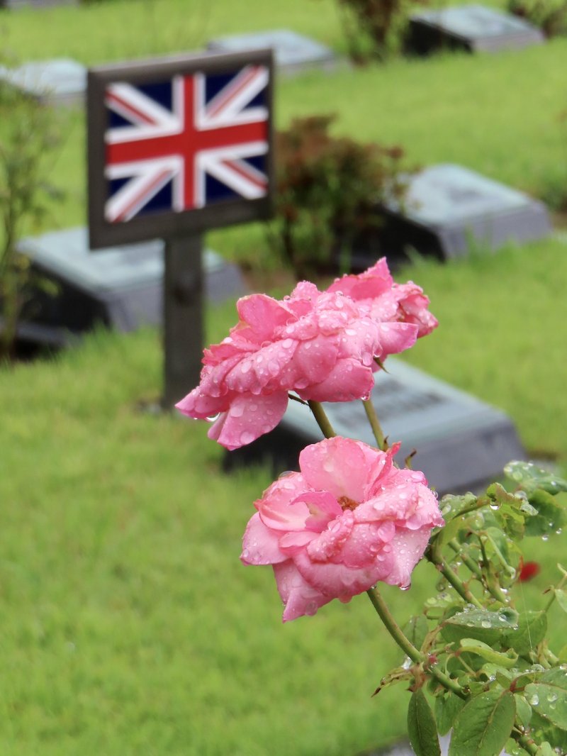 UN Memorial Cemetery