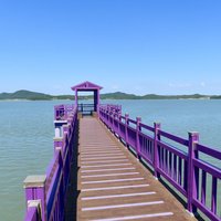 Purple Island
