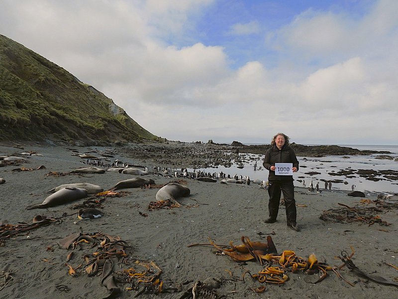 Els at her #1,000 : Macquarie Island