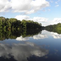 Lake Salvador, Manu NP