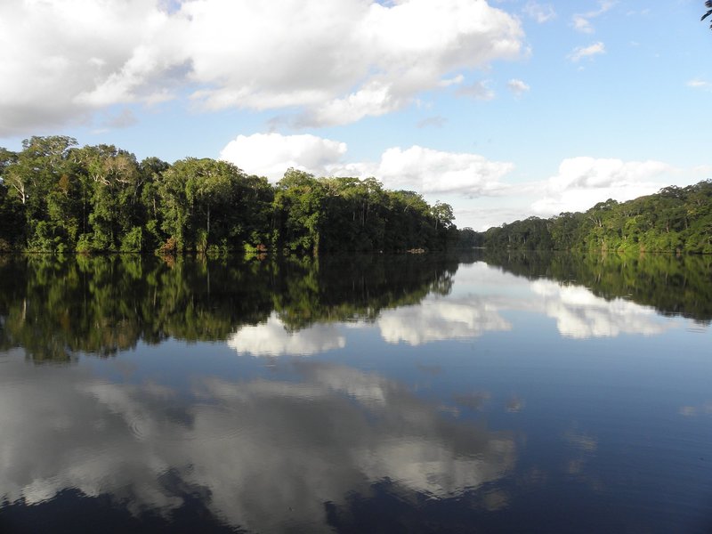 Lake Salvador, Manu NP