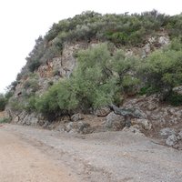Ichkeul national park