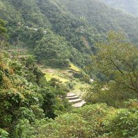 Rice Terraces of the Philippine Cordilleras by Els Slots