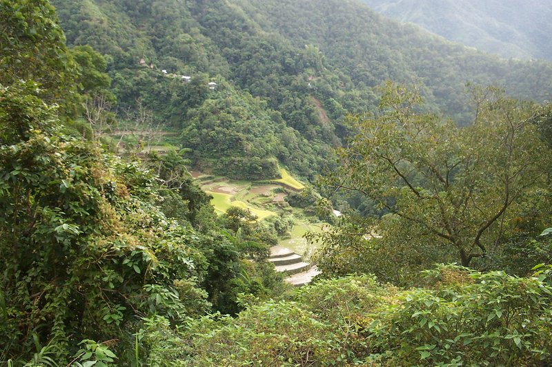 Rice Terraces of the Philippine Cordilleras by Els Slots