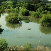 Upo Wetland