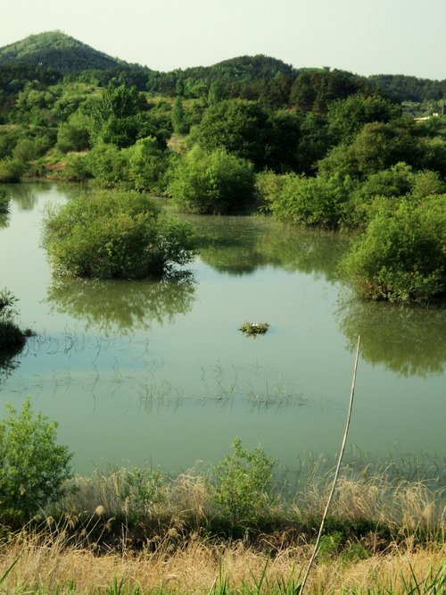 Upo Wetland