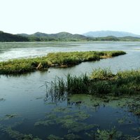 Upo Wetland