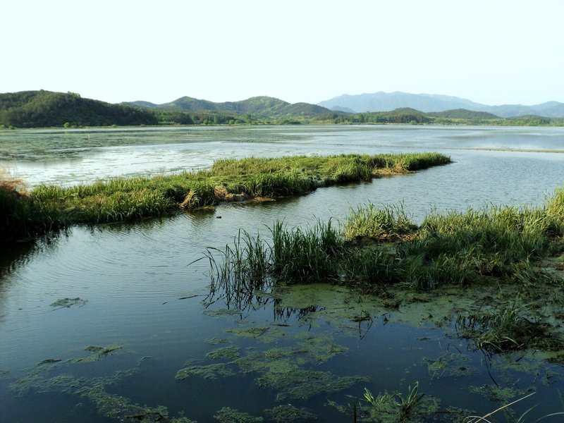 Upo Wetland (KJM)