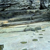 Dinosaur Footprints