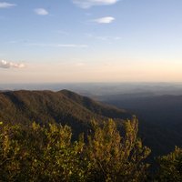 Gondwana Rainforests - Barrington Tops National Park