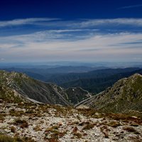 Alps And Eucalypt Forests Of South East Australia